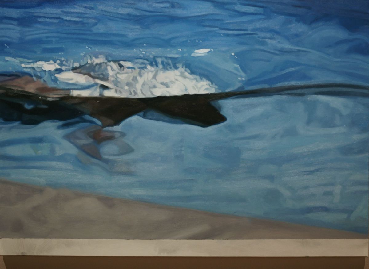 Daniela Chrienová:  Záznamy vizuálneho smogu