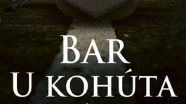 John Grisham - Bar U kohúta. Neskúsení študenti práva stoja proti podvodníkovi