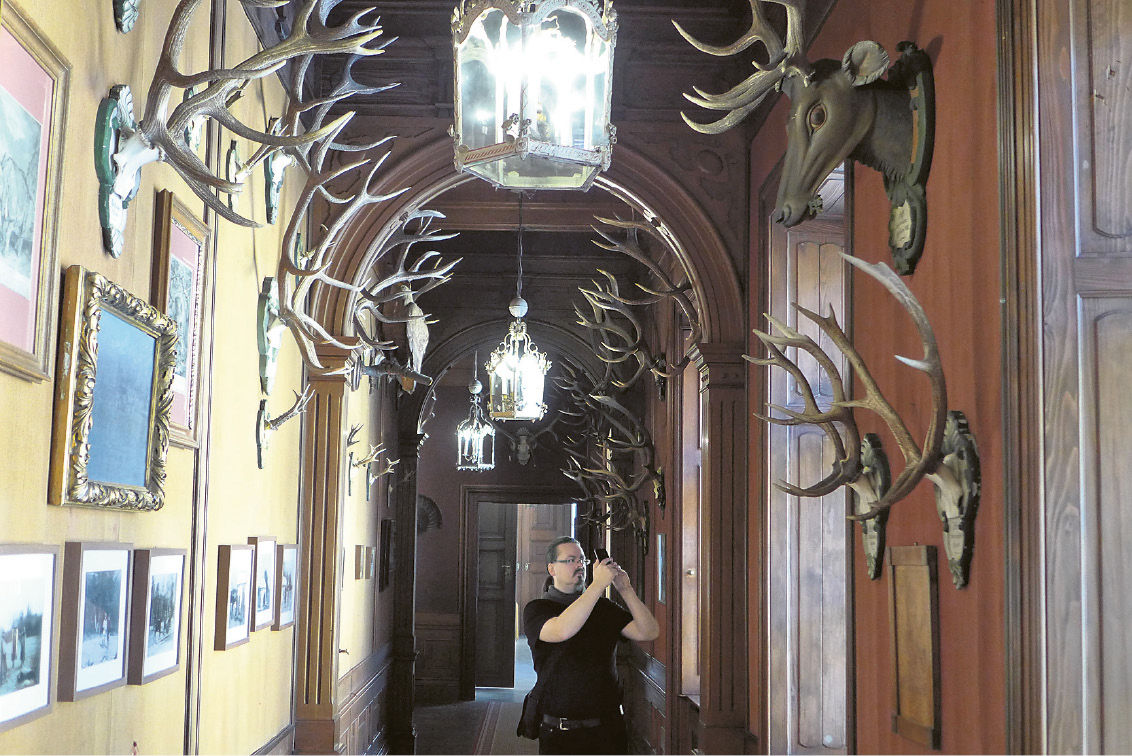 Mnohé z trofejí, či už vysokej zveri alebo...