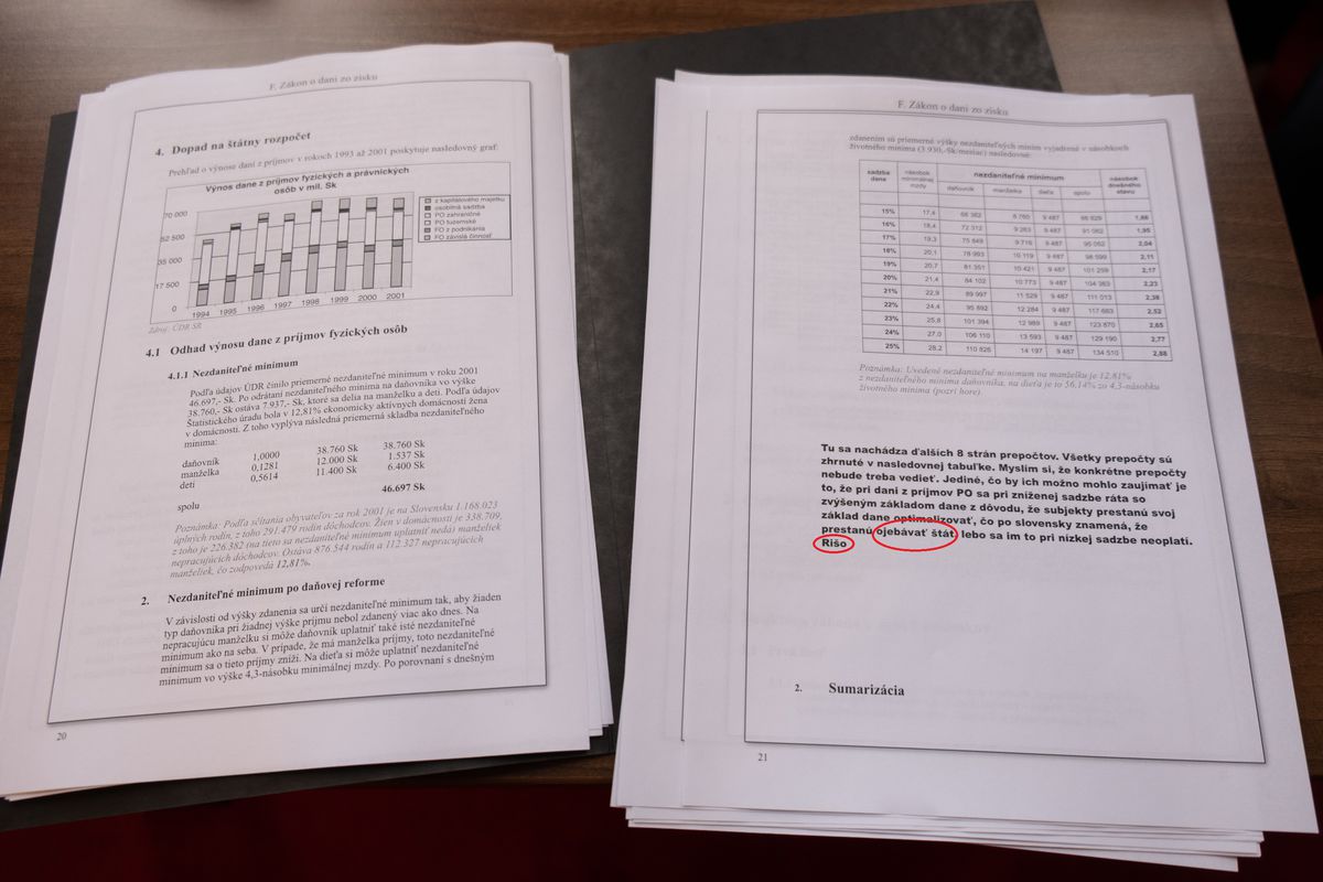 Strana 20 pracovnej verzie  Sulíkovej...