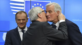 Brexit môže otvoriť svet, kde žijú vlci, varuje expert