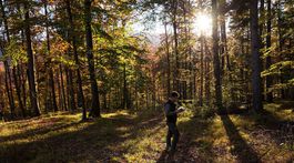 Pole dáva chlieb. Les vodu a mrakodrapy