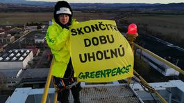 greenpeace, aktivista