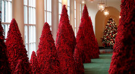 Stromy z červených bobúľ vo východnej kolonáde Bieleho domu.