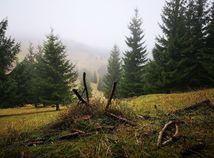 zázrivá, palo rýpal