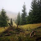 zázrivá, palo rýpal