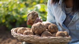 Slovenské ovocie a zelenina - máme ich v obchodných reťazcoch dostatok?