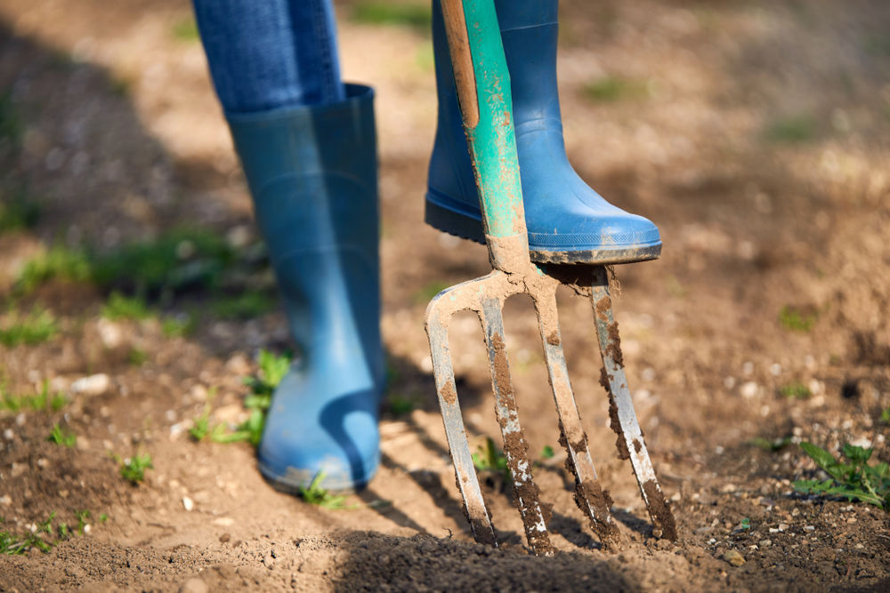 Zákaz drobenia sa podľa zákona vzťahuje na...