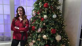 Pozrite si vianočné stromčeky hviezd! Zdobili Paltrow, Kerr aj Shields