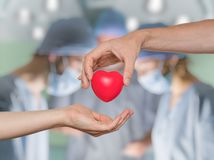srdce, operácia, transplantácia