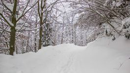 POÈASIE: Sneh na Kysuciach