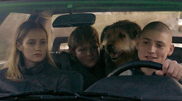 Český lev: Filmom roka je Všetko bude, Toman zostal bez ceny