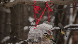 Cez víkend sa oteplí, kalamity sa však vrátia