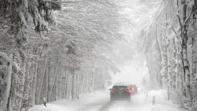 Sneh, kalamita, auto, stromy