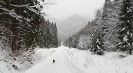 Snehová nádielka v Liptove. Snímka je z hôr...