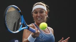 Dominika Cibulková