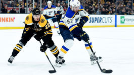 Daňo, Jaroš, Cehlárik. Ktorí Slováci neprežili škrty v NHL?