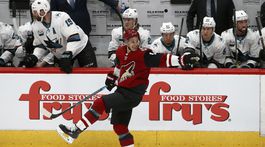 USA hokej NHL Sharks Coyotes Pánik