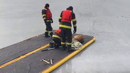 Košickí hasiči zachraňovali labute aj srnku 