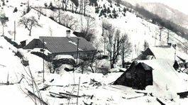 Ušli z pazúrov bielej smrti