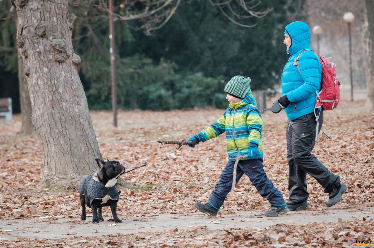 Typicky januárová zima nepoľavuje ani v...
