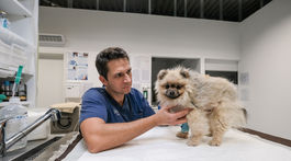 Psy nás čítajú ako šlabikár