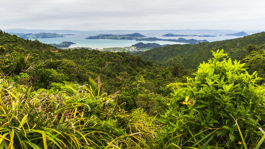 S počasím to zo začiatku nevyzeralo dobre.