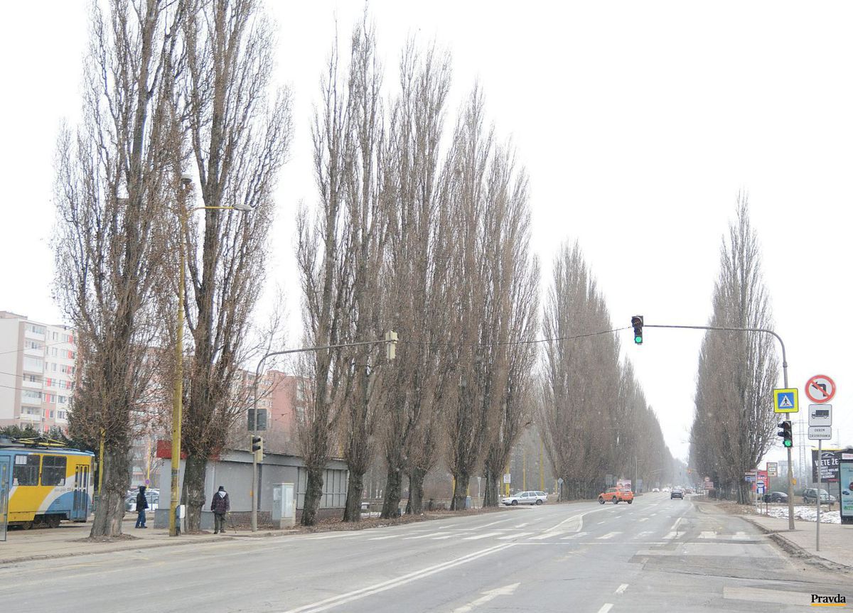 Kvôli rozšíreniu Slaneckej cesty budú musieť...