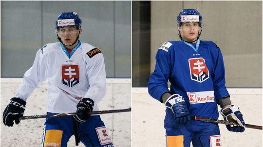 Martin Fehérváry, Adam Liška