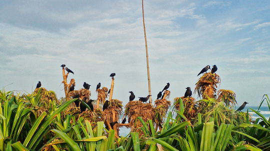 Polostrov trčiaci do mora z mirrskej pláže sa...