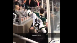 VIDEO: Pospíšil sa pustil do divákov päsťami. Usporiadatelia ho vyviedli