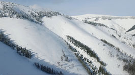 Vitajte na Slovensku. V krajine ničiteľov lesa