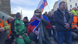 Bratislava Protest Farmári staromestská