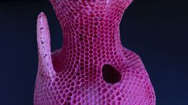 Slovák vystavuje v Pompidouovom centre. Pomohli mu včely