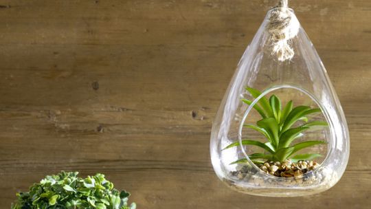 Pozvite jar do interiéru - rôzne druhy...