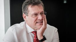 Zeman ma považuje za jediného garanta spolupráce krajín V4, povedal Šefčovič