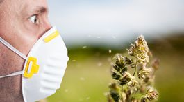 Tri kľúčové rady pre alergikov! Pozrite si video ako sa chrániť