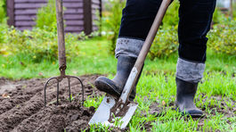 Zabudnite už na sejbu! Čo sa dá v júni predsa svojpomocne vypestovať?