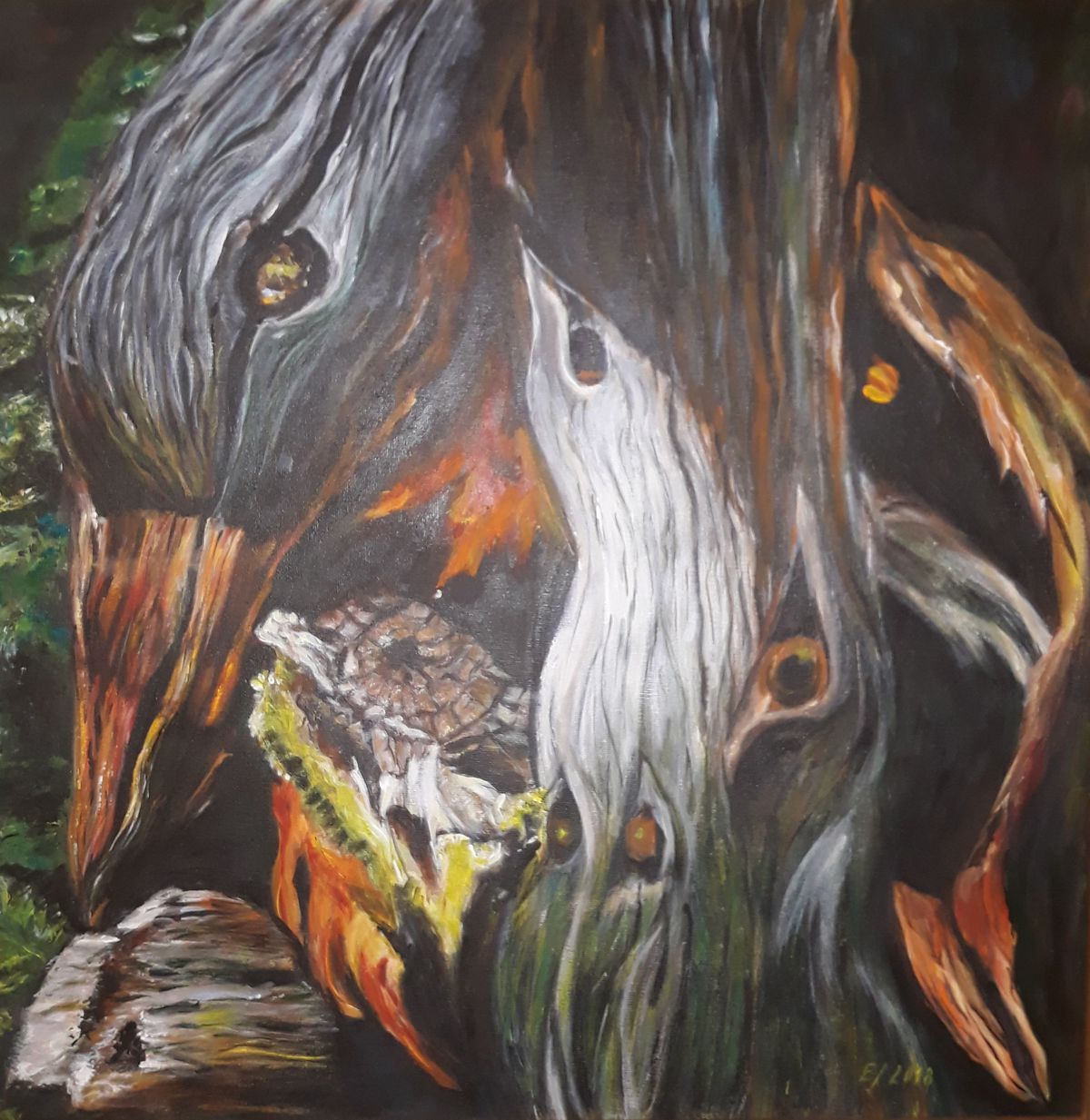 Eva Jankovičová: Vtáky