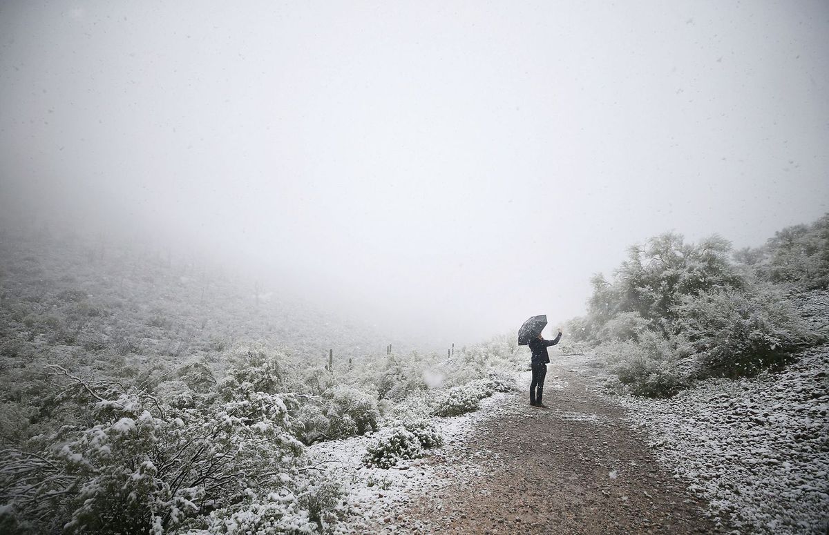 zima, sneh, počasie, mráz, Arizona, muž, dáždnik