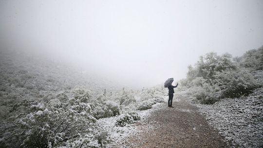 Juhoafrickú republiku zasiahla vlna chladného počasia s mrazom a snežením