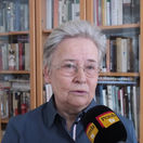 Brigita Schmögnerová