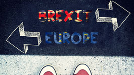 Uznajú vám doklad o vzdelaní z Británie aj po brexite?