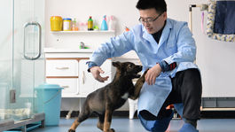 Čína naklonovala 'psieho' Sherlocka Holmesa