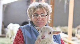 Jahňacina, vzácnosť nad vzácnosť