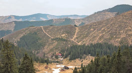 Plošným výrubom v národných parkoch musí odzvoniť, vyhlásil Sólymos
