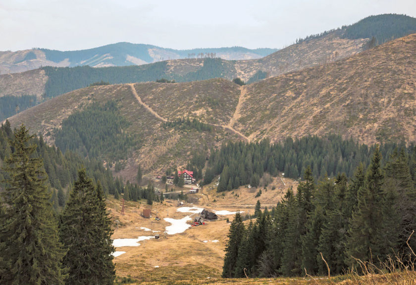 Vyrúbané lesy v Národnom parku Nízke Tatry za...