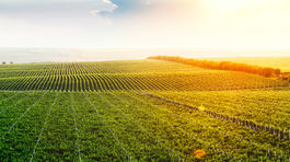 Zákon už nenariaďuje, komu možno pôdu predať