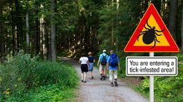Kliešte môžu prenášať závažné ochorenia