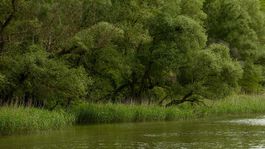 Lesy SR majú kompletný vyšší manažment